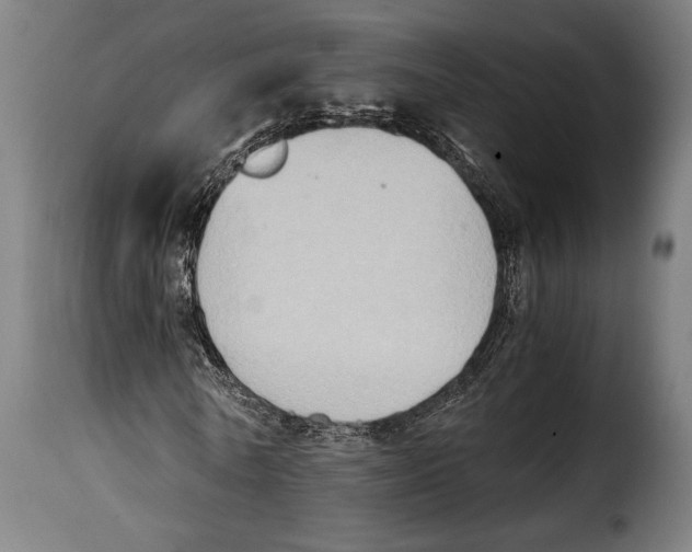 X0000115020770200911231249