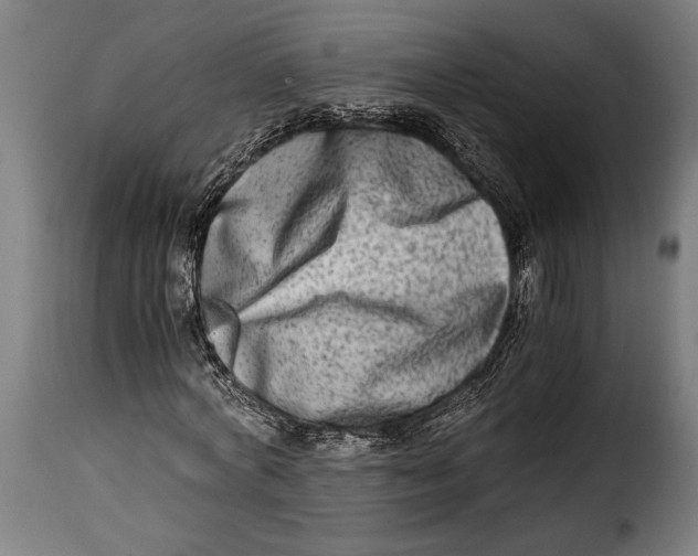 X0000115020772200911231249