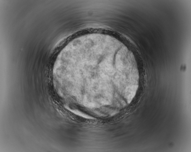 X0000115020775200911231249