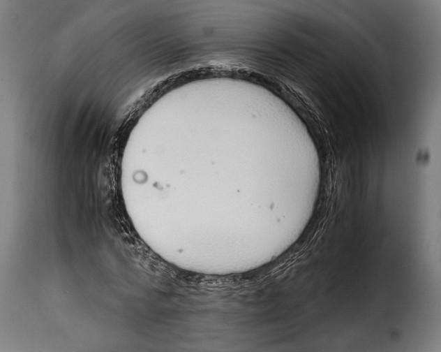 X0000115020776200911231249