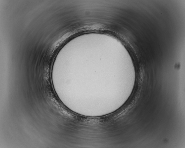 X0000115020778200911231249