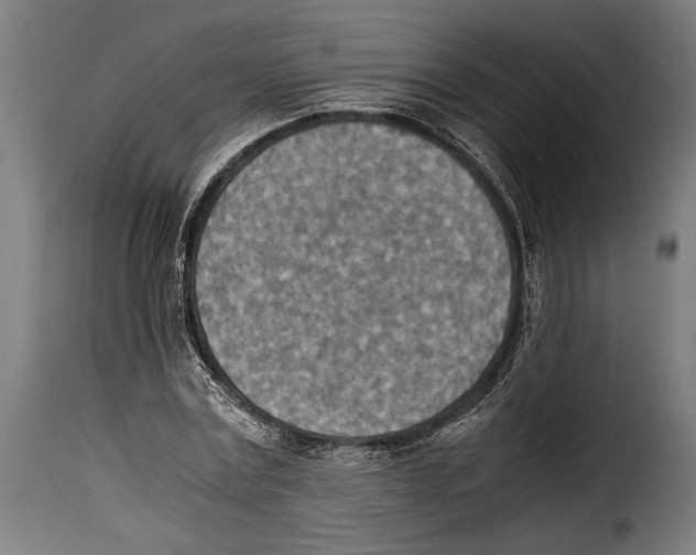 X0000115020779200911231249