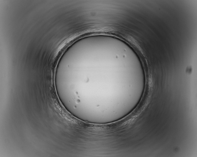 X0000115020781200911231249