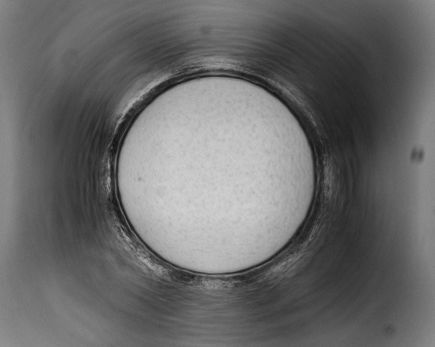 X0000115020782200911231249