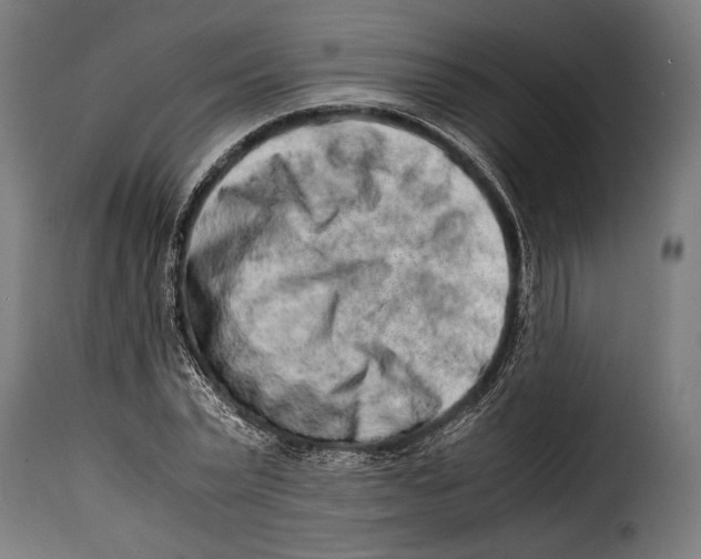 X0000115020783200911231249