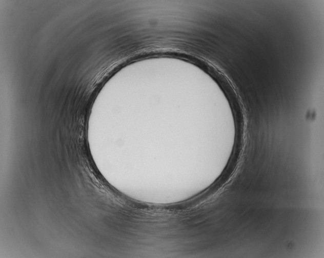 X0000115020785200911231249