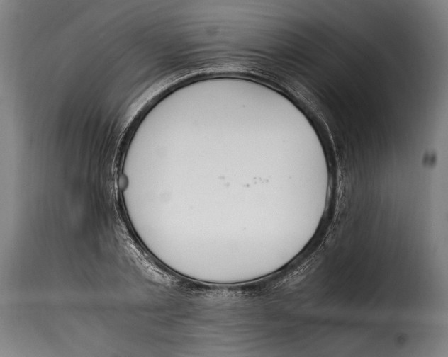 X0000115020789200911231249