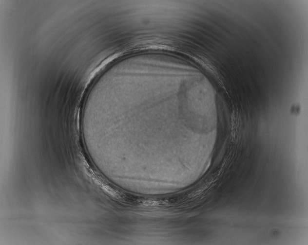 X0000115020790200911231249