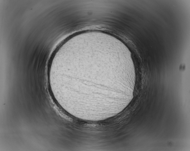 X0000115020792200911231249