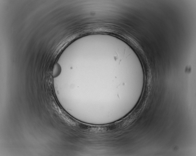 X0000115020793200911231249