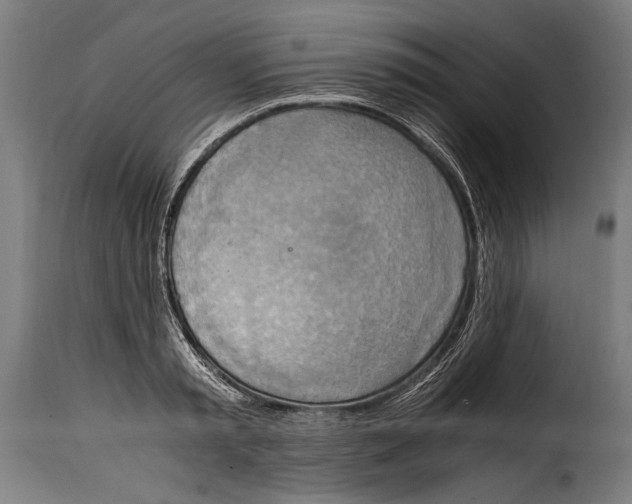 X0000115020797200911231249