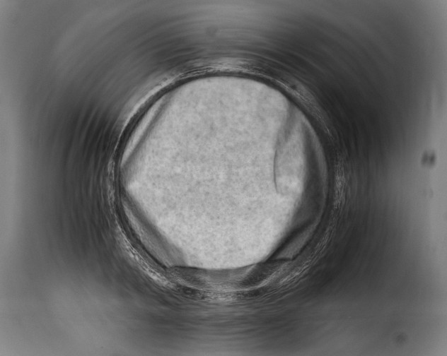 X0000115020798200911231249