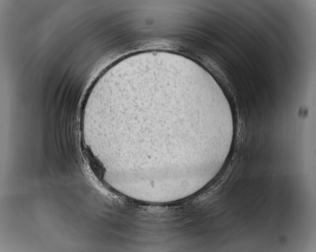 X0000115020800200911231249