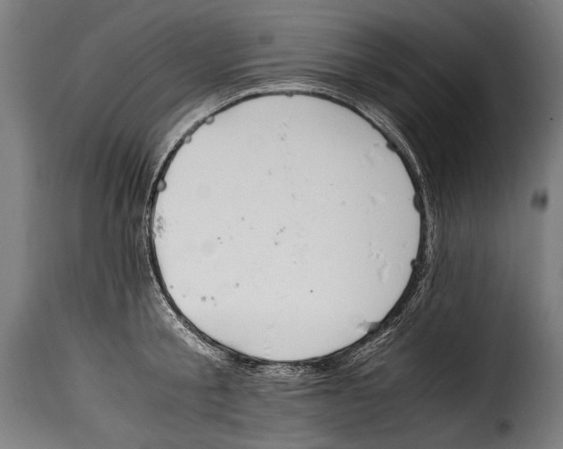 X0000115020805200911231249