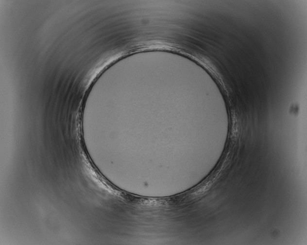 X0000115020806200911231249