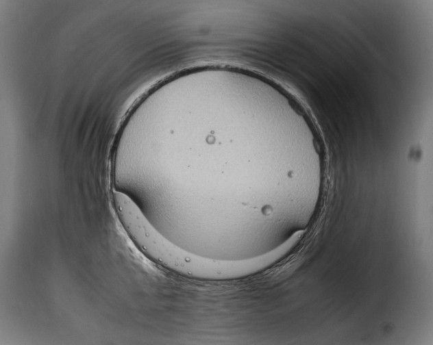 X0000115020807200911231249