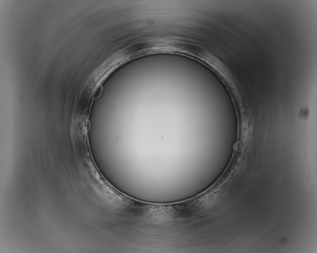 X0000115020809200911231249