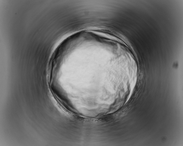 X0000115020811200911231249