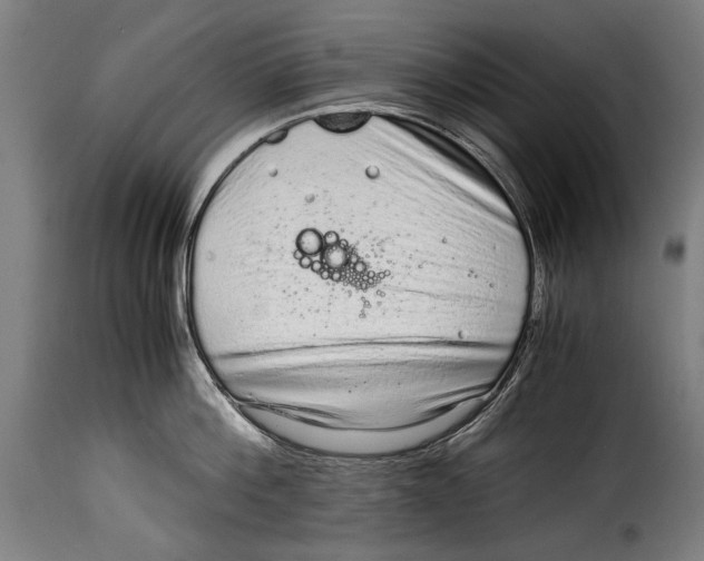 X0000115020812200911231249