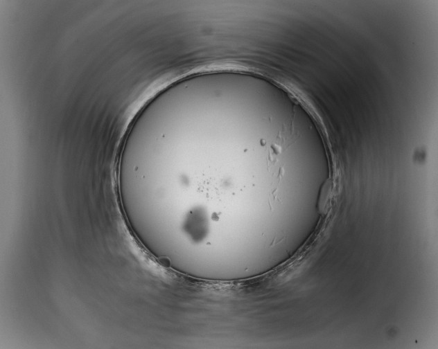 X0000115020813200911231249