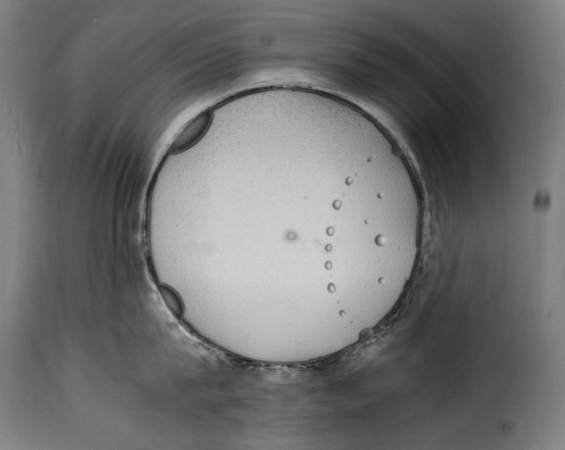 X0000115020815200911231249