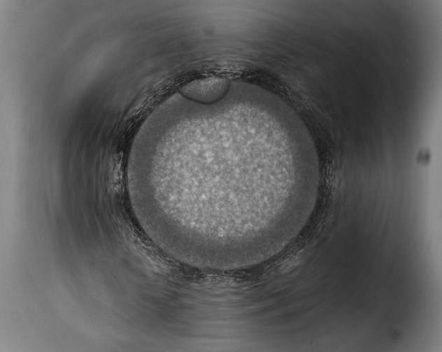 X0000115020818200911231248