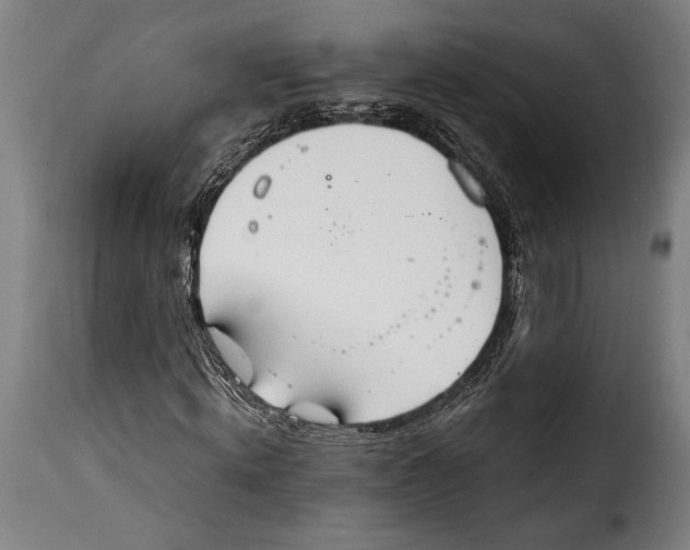 X0000115020820200911231248