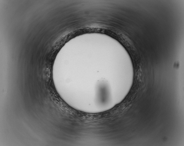 X0000115020821200911231248