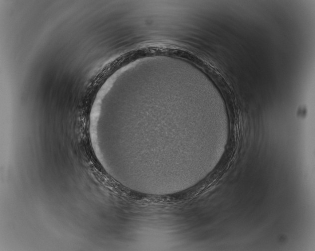 X0000115020822200911231248