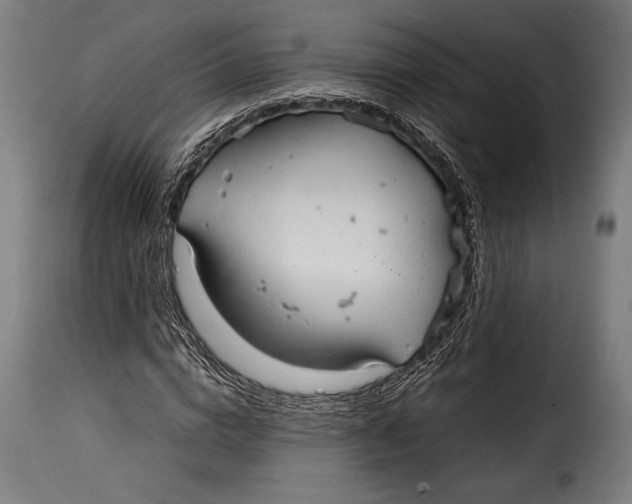 X0000115020824200911231248