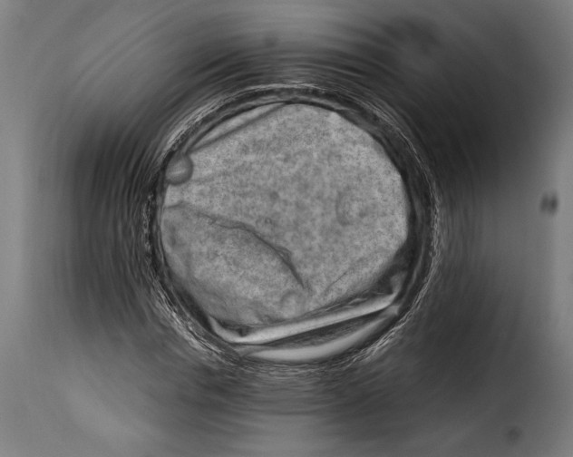 X0000115020826200911231248