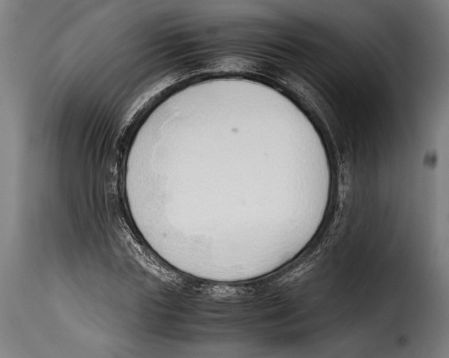 X0000115020827200911231248