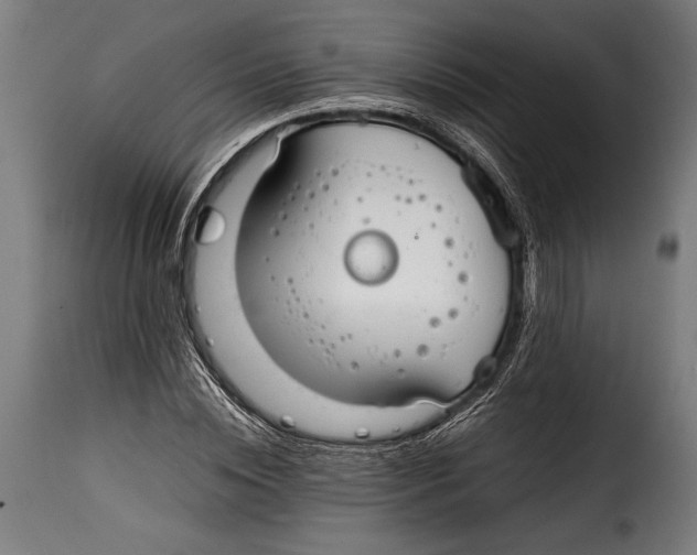 X0000115020828200911231248