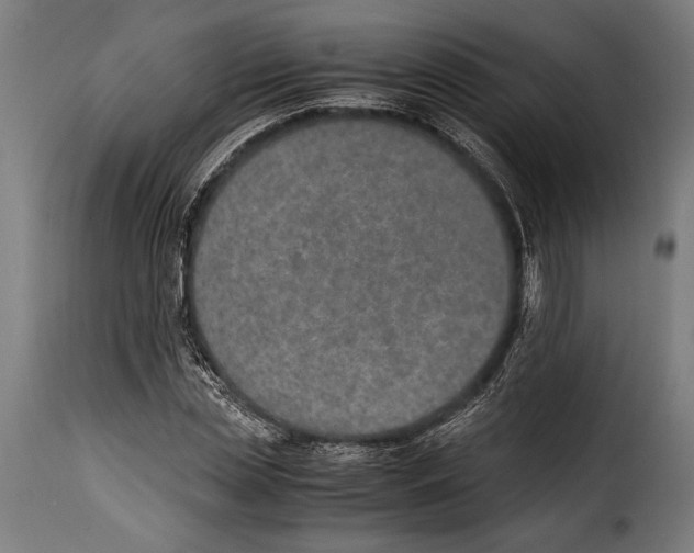 X0000115020829200911231248