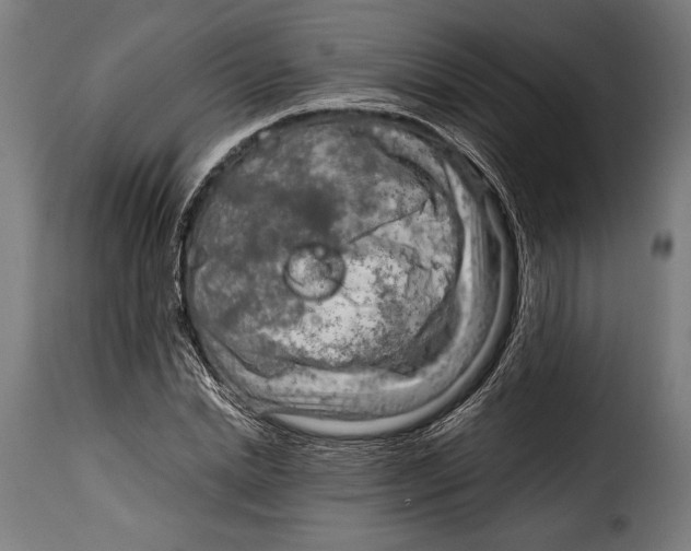 X0000115020830200911231248