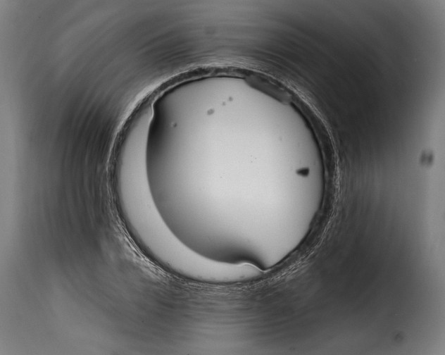 X0000115020832200911231248