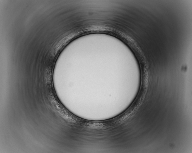 X0000115020833200911231248