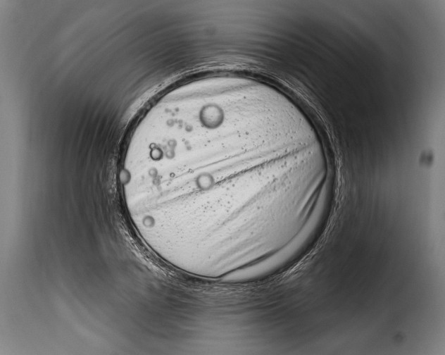 X0000115020834200911231248