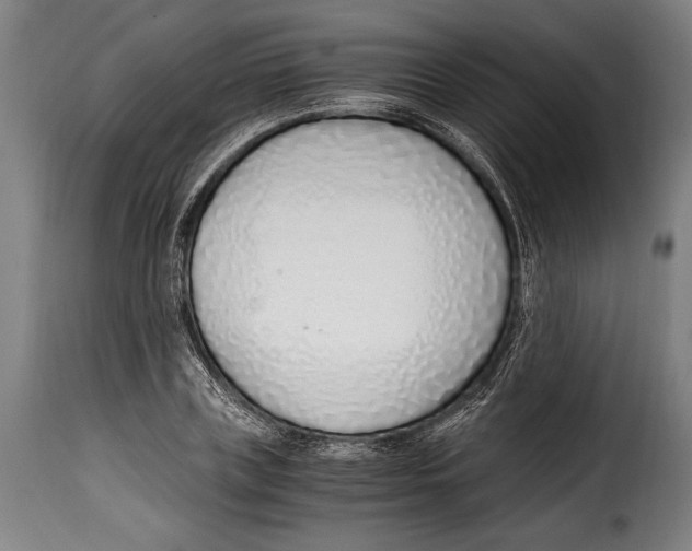 X0000115020835200911231248