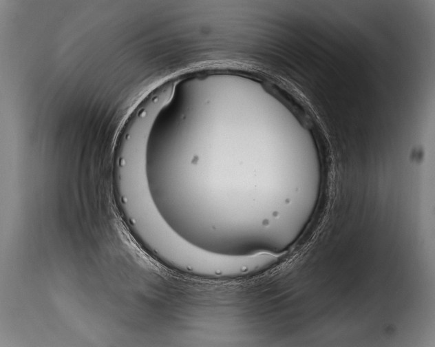 X0000115020836200911231248