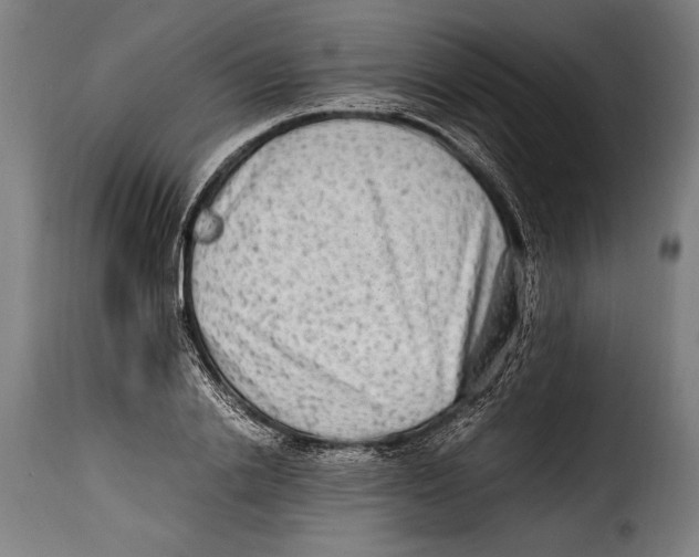 X0000115020838200911231248