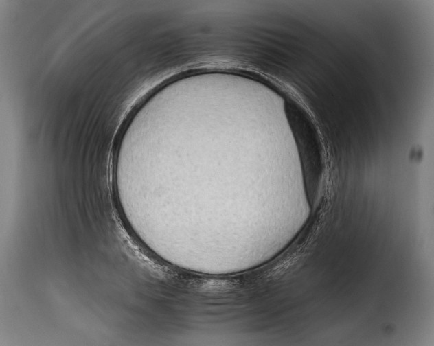 X0000115020839200911231248