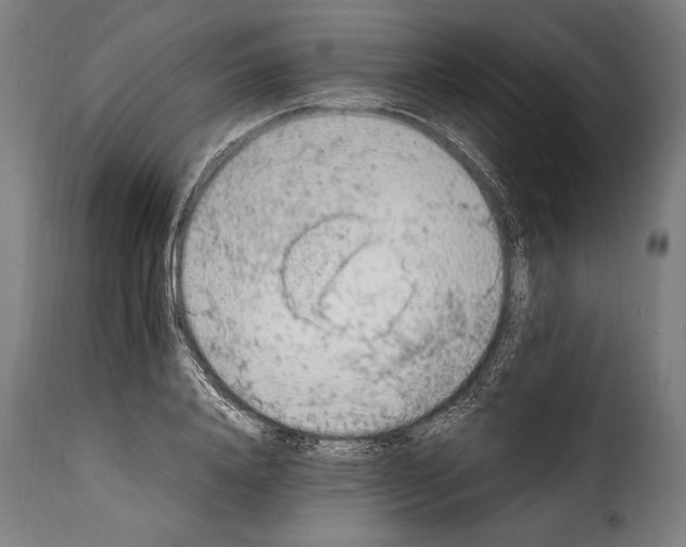 X0000115020840200911231248