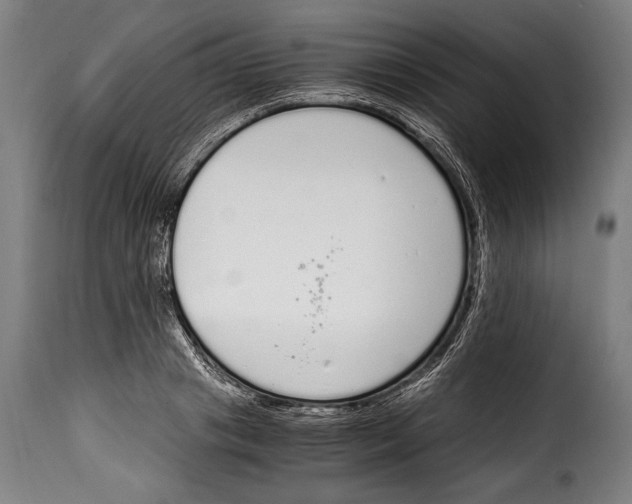 X0000115020841200911231248