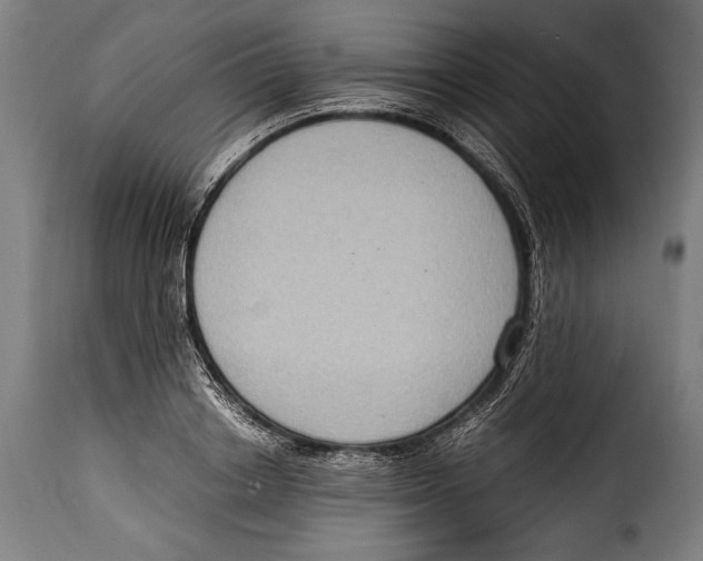 X0000115020842200911231248