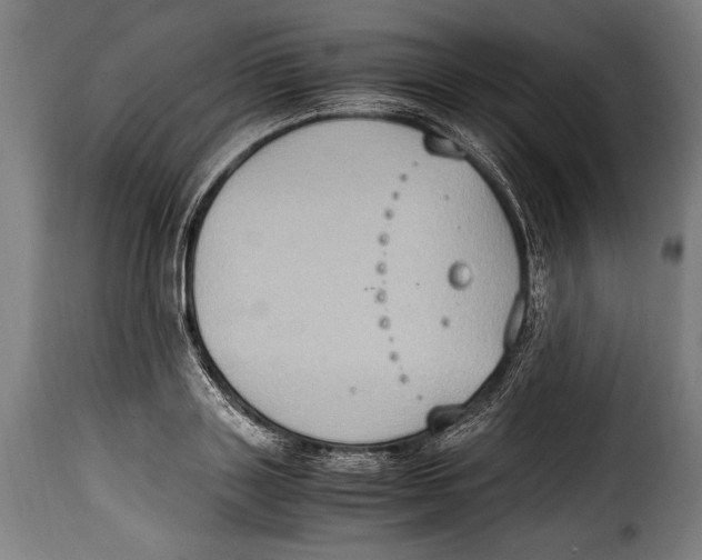 X0000115020843200911231248