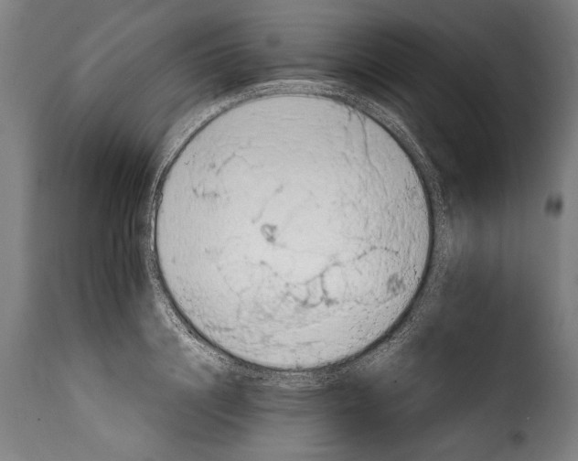 X0000115020844200911231248