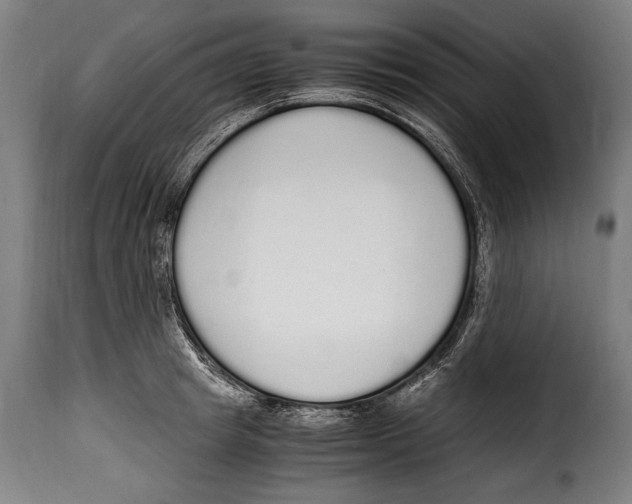 X0000115020849200911231248