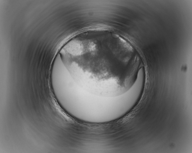 X0000115020850200911231248