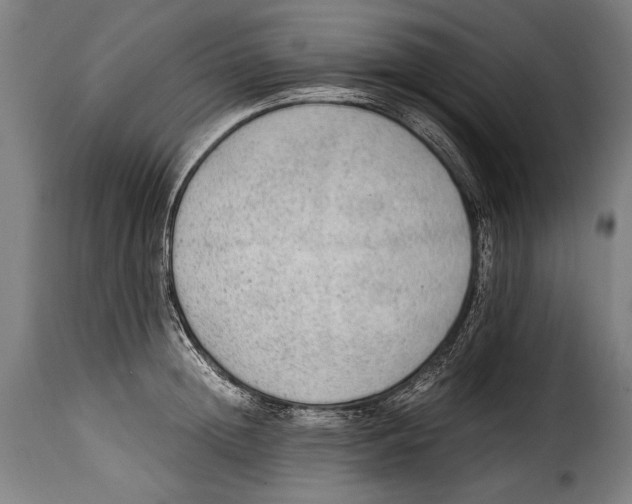 X0000115020852200911231248